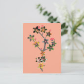 Carte Postale Branches d'insectes (Debout devant)
