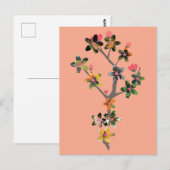 Carte Postale Branches d'insectes (Devant / Derrière)