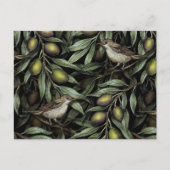 Carte Postale Branches d'olivier et Parulines (Devant)