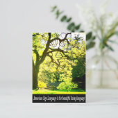 Carte Postale Branches en forme d'ASL (Debout devant)