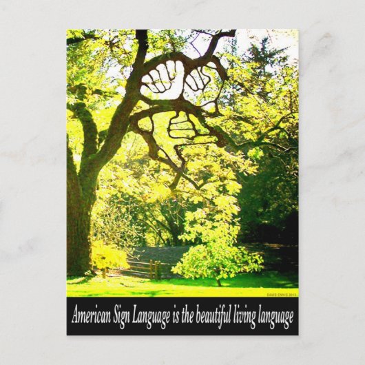 Carte Postale Branches en forme d'ASL (Devant)