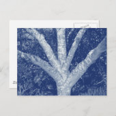 Carte Postale Branches fourrées - Effet Cyanotype (Devant / Derrière)