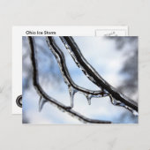 Carte postale Branches Icy (Devant / Derrière)