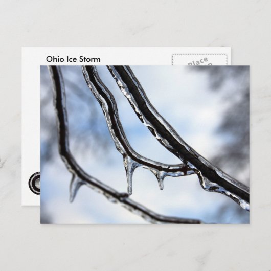 Carte postale Branches Icy (Devant / Derrière)