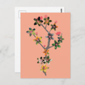 Carte Postale Branches of Insects (Devant / Derrière)