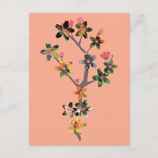 Carte Postale Branches of Insects (Devant)