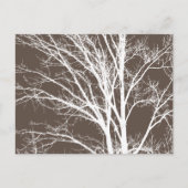Carte Postale Branches rustiques Brown d'arbre blanc (Devant)