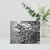 Carte Postale Branches sauvages (Debout devant)