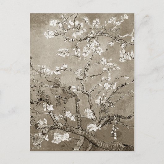 Carte Postale Branches Van Gogh Almond en Bloom - Sepia (Devant)