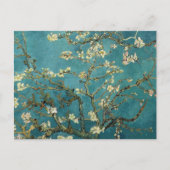 Carte Postale Branches Van Gogh Almond En Fleur (Devant)