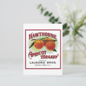 Carte Postale Brandy Hawthorne Apricot (Debout devant)