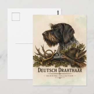 Carte Postale Braque allemand à poil dur – Collection de chasse