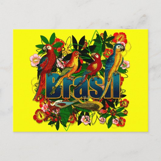Carte Postale Brasil Brésil Tropical floral rainforest birds art (Devant)