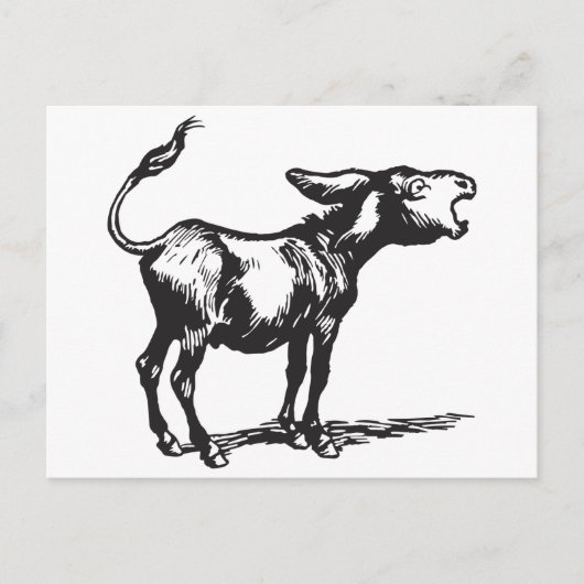 Carte Postale braver âne (Devant)