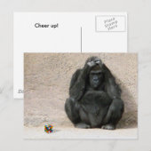 Carte Postale Bravo ! (Devant / Derrière)