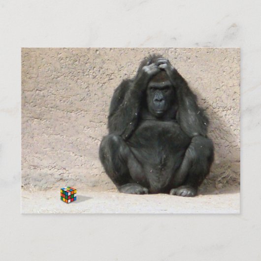 Carte Postale Bravo ! (Devant)