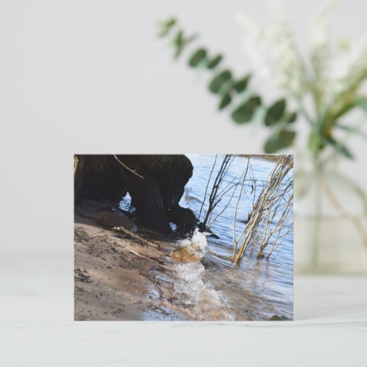 Carte Postale Breakers, Beachlife (Debout devant)