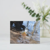 Carte Postale Breakers, Beachlife (Debout devant)