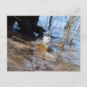 Carte Postale Breakers, Beachlife (Devant)