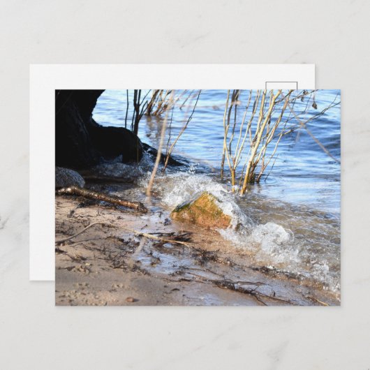 Carte Postale Breakers, Beachlife (Devant / Derrière)