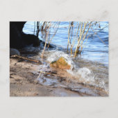 Carte Postale Breakers, Beachlife (Devant)