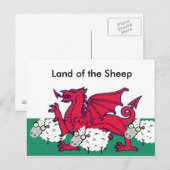 Carte Postale brebis galeuses, Pays des moutons (Devant / Derrière)