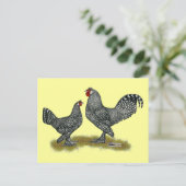 Carte Postale Breda Chickens Cuckoo (Debout devant)
