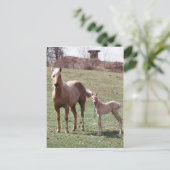 Carte Postale Bree et Jac (Debout devant)