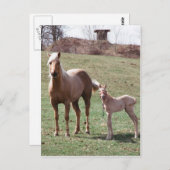 Carte Postale Bree et Jac (Devant / Derrière)