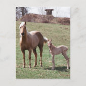 Carte Postale Bree et Jac (Devant)