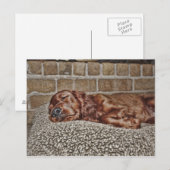 Carte Postale Breloque (Devant / Derrière)