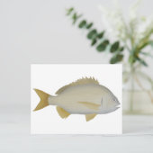 Carte Postale Brème de Yellowfin (Debout devant)