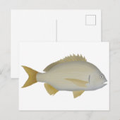 Carte Postale Brème de Yellowfin (Devant / Derrière)