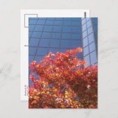 Carte Postale Brentwood Trees et verre (Devant / Derrière)