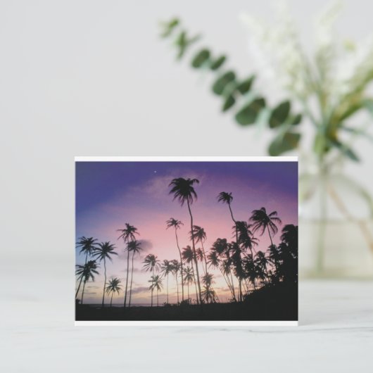 Carte Postale Brésil (Debout devant)