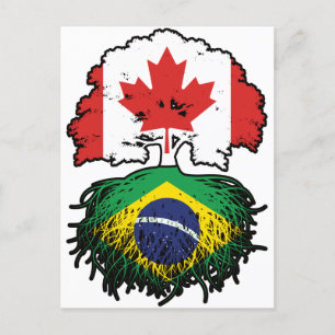 Carte Postale Brésil Brésil Brésil Canada drapeau des racines de