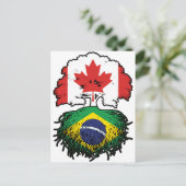 Carte Postale Brésil Brésil Brésil Canada drapeau des racines de (Debout devant)