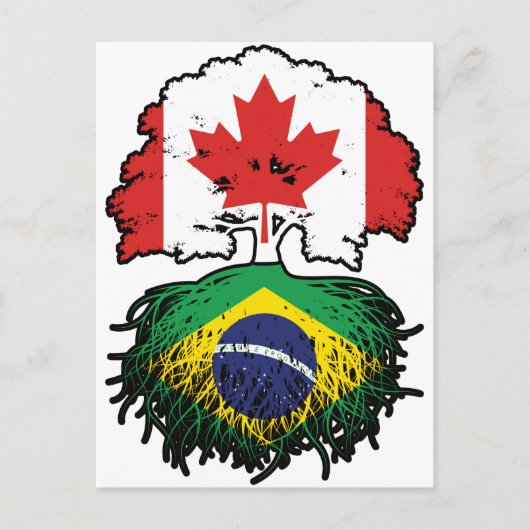 Carte Postale Brésil Brésil Brésil Canada drapeau des racines de (Devant)