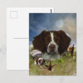 Carte Postale Bretagne française, Art (Devant / Derrière)