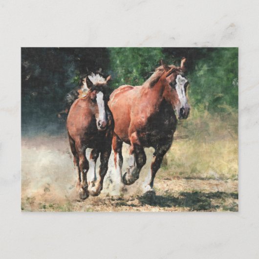 Carte postale bretonne de chevaux (Devant)