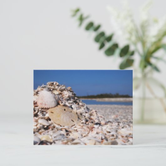 Carte Postale Brevet (Debout devant)