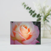 Carte Postale Brianna (Debout devant)