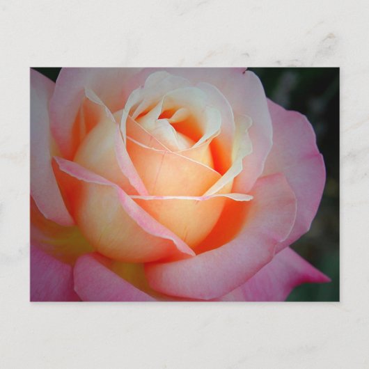 Carte Postale Brianna (Devant)