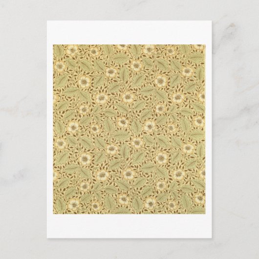 Carte Postale Briar Rose (Devant)