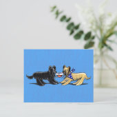 Carte Postale Briard Mad Hatters Off-Leash (Debout devant)