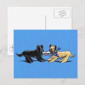 Carte Postale Briard Mad Hatters Off-Leash (Devant / Derrière)