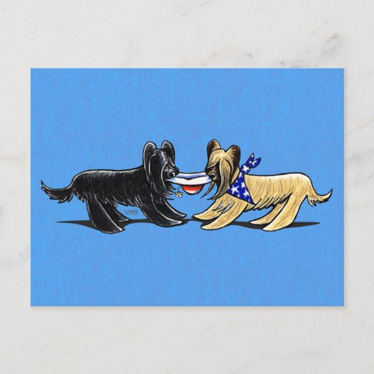 Carte Postale Briard Mad Hatters Off-Leash (Devant)