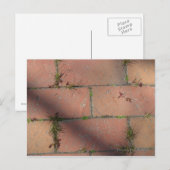 Carte Postale Brick rouge (Devant / Derrière)