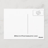 Carte Postale Bridal Veil (Dos)