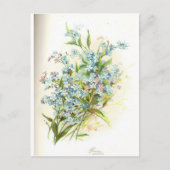 Carte Postale Brier rose (Devant)